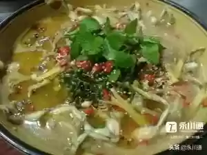 美人蛙阵容(宝可梦t0阵容)插图17