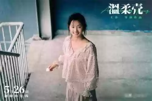 温柔壳阵容(云顶之弈努努阵容搭配)插图4