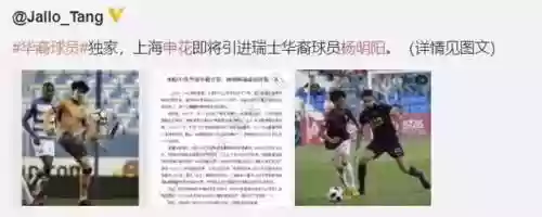1995申花阵容(94年申花主力阵容)