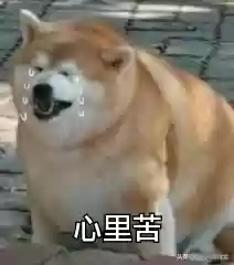 奇葩战术阵容(王者恶心的二人奇葩阵容)插图4