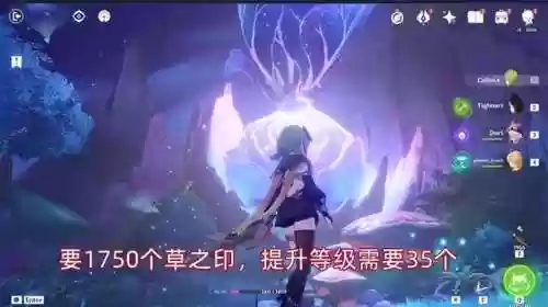 须弥神阵容(须弥宝宝怎么加点)插图3