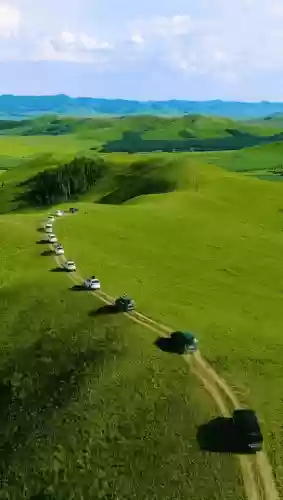 童话边境阵容(有杀气童话最佳阵容)插图23