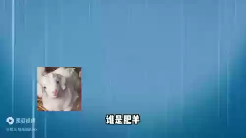 鉴于远征阵容(剑与远征新手阵容)插图2