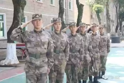 光明哨位阵容(光明哨兵阵容装备最新)插图7