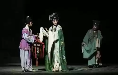 超大阵容戏曲(戏曲身段组合)插图3 超大阵容戏曲(戏曲身段组合)插图3