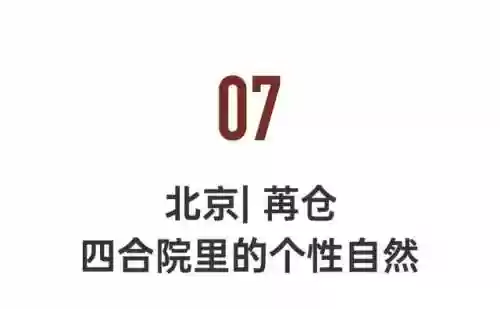 命名夜阑阵容(星陨之地阵容推荐)插图63