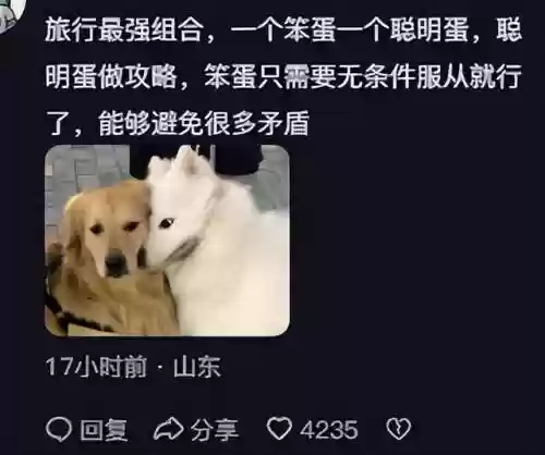 友情旅行阵容(八方旅人1最强四人组阵容)插图10 友情旅行阵容(八方旅人1最强四人组阵容)插图10
