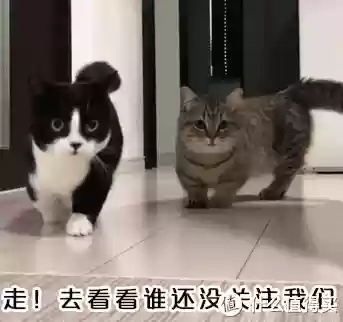 云顶插拔阵容(云顶最新阵容)插图108