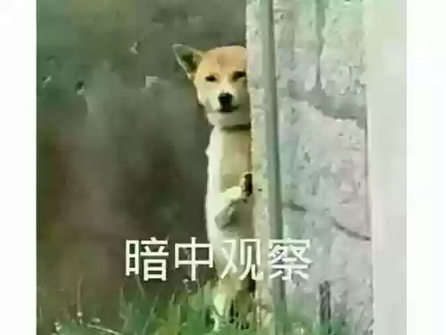 流放方舟阵容(方舟手游单机后期安家点推荐)插图1