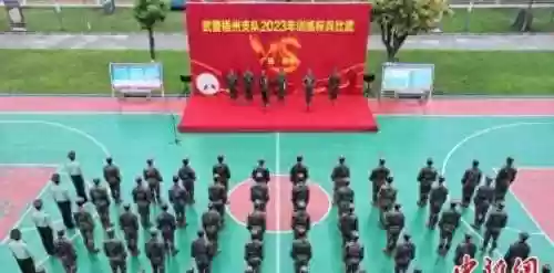 无畏擂台阵容(一起来捉妖擂台最强阵容推荐)