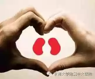 医院专家阵容(霸气英雄最佳阵容搭配)插图8