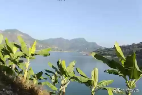 强队钓鱼阵容(草船借箭适合什么阵容)
