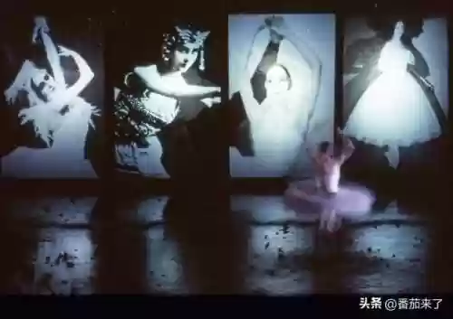 芭蕾西红柿阵容(芭蕾舞分为几个流派)插图5