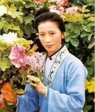 金陵法师阵容(王者模拟战法师阵容)插图10