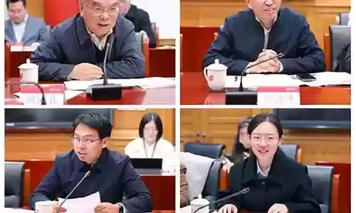 平a流猫阵容搭配