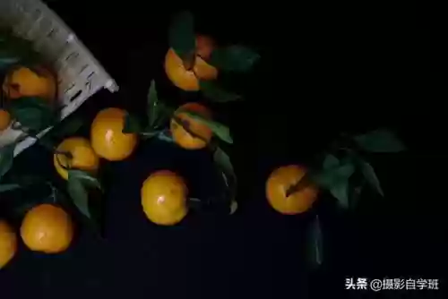 桔子摄影阵容(动物自走棋阵容推荐)插图4