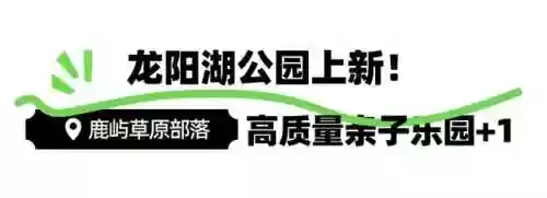 部落排队阵容(部落冲突攻略大全阵型分享)插图23