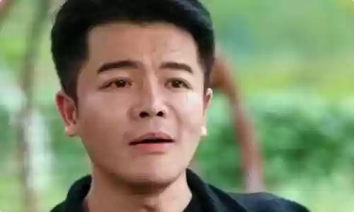 狂飙翻拍阵容(狂飙里有哪些人物)插图14