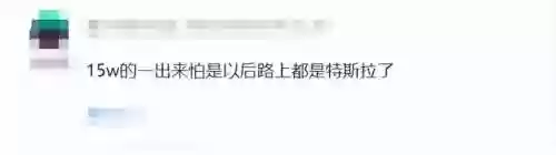 特斯拉十五阵容(特斯拉油电混合车新款)插图17