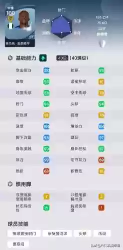 实况曼奇尼阵容(实况足球2000最强阵容)插图2