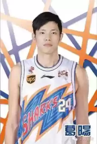 鲨鱼熊阵容(猎铳玩熊套好还是鲨鱼套好)插图16