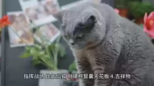 率土之滨种地阵容(率土之滨开荒最快阵容推荐)插图1