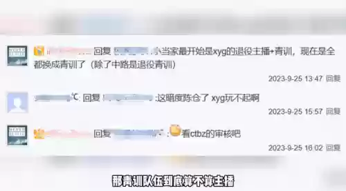 王者女主播阵容(王者荣耀最菜女主播)插图3