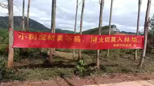 春分强化阵容(金铲铲决斗阵容推荐)插图1