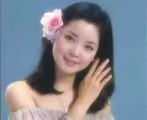 邓丽君神仙阵容(邓丽君最好听的10首歌)插图4