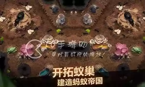 蚂蚁森林搭配阵容