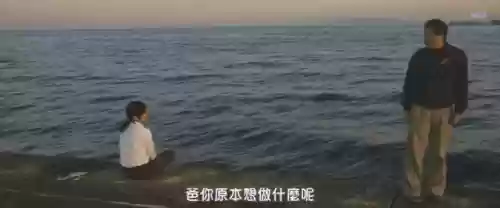 浅田家阵容(宝可梦t0阵容)插图18