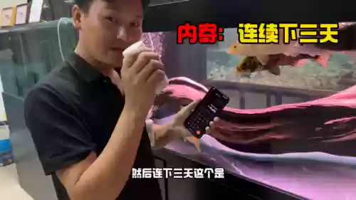 变异大眼阵容(风暴之眼最强阵容搭配)插图2