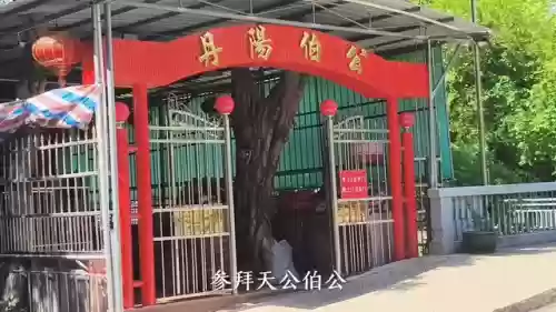汕头庄阵容(张角鲁肃最强阵容)插图1