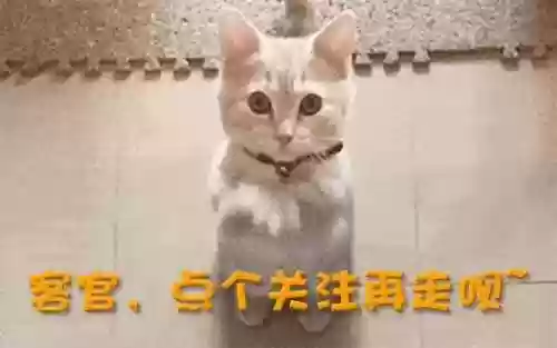 美丽温柔阵容(女神连结阵容推荐)插图29