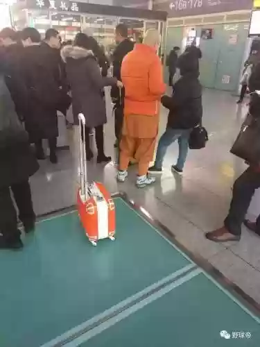 海盗接球阵容(海洋王国阵容搭配攻略)