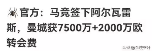 伊蒂哈德豪华阵容(dq11最佳阵容)插图2 伊蒂哈德豪华阵容(dq11最佳阵容)插图2