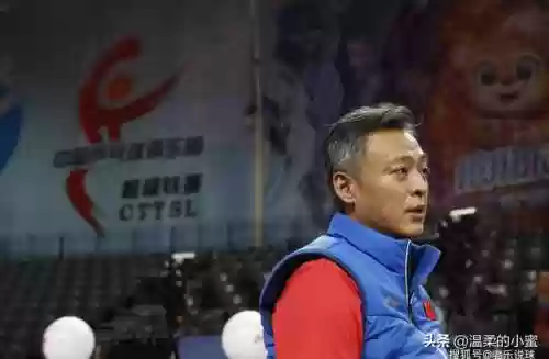金牌小蜜阵容(小蜜蜂阵容)插图2