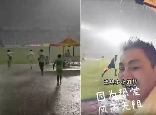 港星阵容图片(海贼之港推荐阵容)插图7