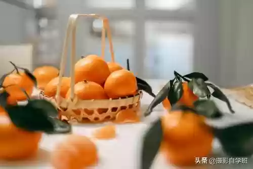 桔子摄影阵容(动物自走棋阵容推荐)插图5