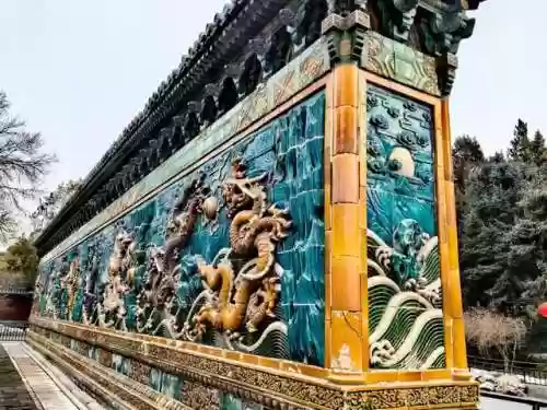 龙身九五阵容(多多自走棋龙法阵容)插图2