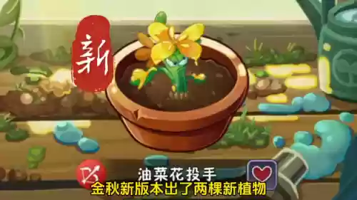 蜜蜂铃兰阵容(铃兰花和什么花搭配好看)