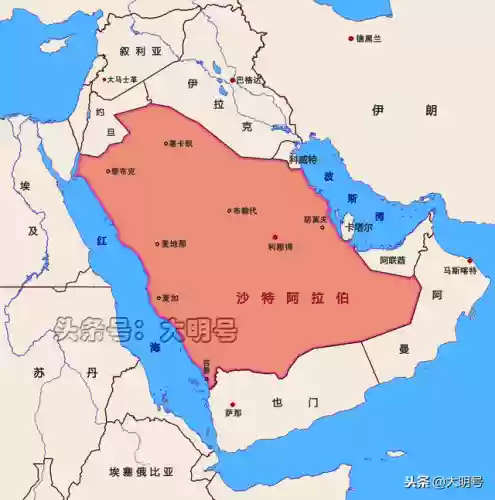沙特王室阵容(沙特王储遇刺身亡)
