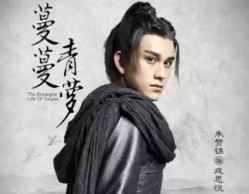 金光瑶阵容(金光瑶是什么星座)插图2