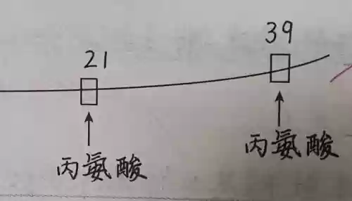 欧米茄原子阵容(欧米茄星座是什么机芯)插图2