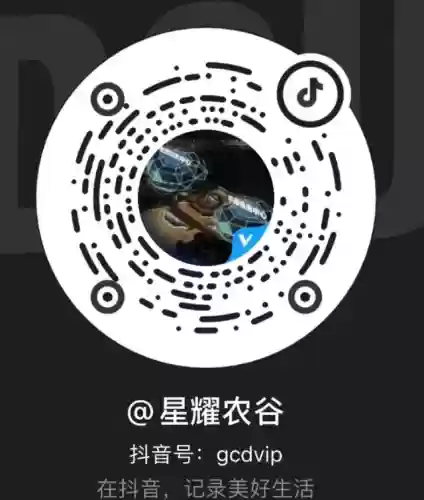 荣耀出征阵容(荣耀出征敢达)插图5