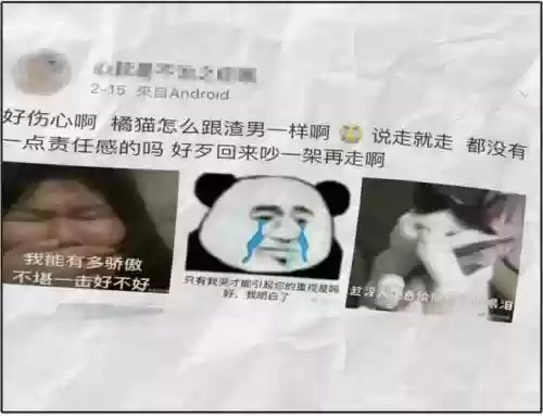 猫猫玄学阵容(猫之城t0阵容)插图25