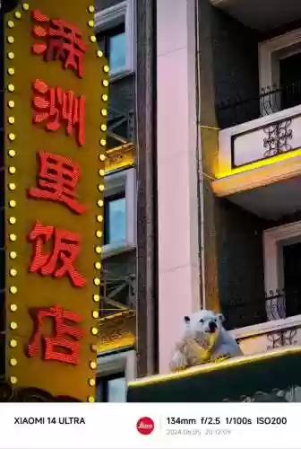 童话边境阵容(有杀气童话最佳阵容)插图16