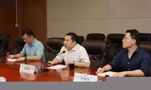 pk17御阵容搭配