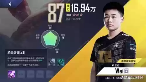 职业阵容界面(全职高手24职业技能表)插图8