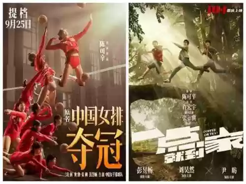 小妞夺冠阵容(11小牛夺冠阵容以及数据)插图9